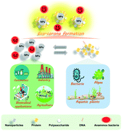 Graphical abstract: Adding exogenous protein relieves the toxicity of nanoparticles to anammox granular sludge by adsorption and the formation of eco-coronas
