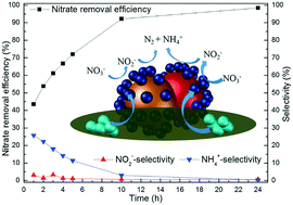Graphical abstract: Pd–In bimetallic nanoparticles supported on chelating resin for nitrate removal from water: high efficiency and low NH4+ selectivity
