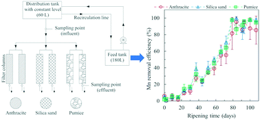Graphical abstract: Start-up of bench-scale biofilters for manganese removal under tropical conditions: a comparative study using virgin pumice, silica sand, and anthracite filter media