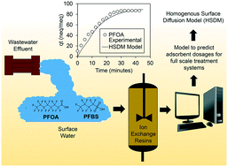 Graphical abstract: Performance of the HSDM to predict competitive uptake of PFAS, NOM and inorganic anions by suspended ion exchange processes