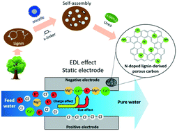 Graphical abstract: Sustainable N-doped lignin-derived porous carbon showing ion selectivity in capacitive deionization applications