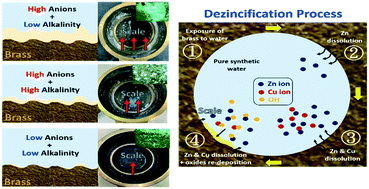 Graphical abstract: Dezincification of brass water meters in a long-term study: effects of anions, alkalinity, and residual chlorine