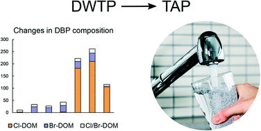 Graphical abstract: Molecular changes among non-volatile disinfection by-products between drinking water treatment and consumer taps