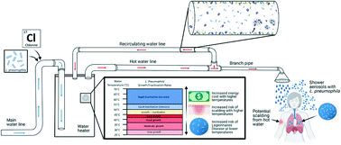 Graphical abstract: Computational framework for evaluating risk trade-offs in costs associated with legionnaires' disease risk, energy, and scalding risk for hospital hot water systems