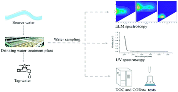 Graphical abstract: Monitoring DOM in drinking water supply systems using DOC, CODMn, UV and fluorescence measurements
