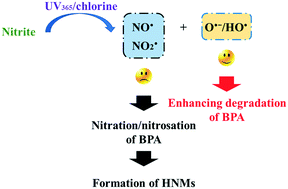 Graphical abstract: Impact of nitrite on the formation of trichloronitromethane during the UV-LED/chlorine process