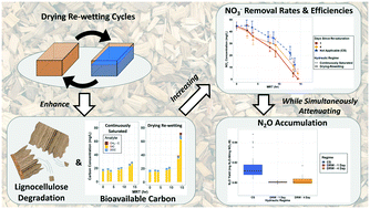 Graphical abstract: Labile carbon release from oxic–anoxic cycling in woodchip bioreactors enhances nitrate removal without increasing nitrous oxide accumulation