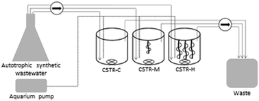 Graphical abstract: Evaluating fixed-film nitrification systems in autotrophic mode: enhanced biomass retention does not improve bioreactor performance during alkalinity induced stress