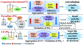 Graphical abstract: Potential for colloid removal from petrochemical secondary effluent by coagulation–flocculation coupled with persulfate process