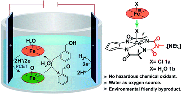Graphical abstract: Electrocatalytic alcohol oxidation by a molecular iron complex