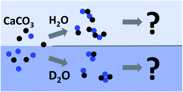 Graphical abstract: Solvent-mediated isotope effects strongly influence the early stages of calcium carbonate formation: exploring D2O vs. H2O in a combined computational and experimental approach