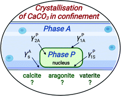 Graphical abstract: On the mechanism of calcium carbonate polymorph selection via confinement