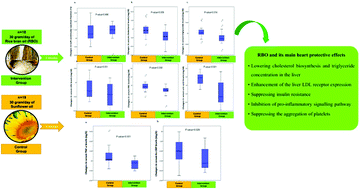 Graphical abstract: The effects of rice bran oil on left ventricular systolic function, cardiometabolic risk factors and inflammatory mediators in men with coronary artery disease: a randomized clinical trial