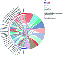 Graphical abstract: Reprogrammed intestinal functions in Astragalus polysaccharide-alleviated osteoporosis: combined analysis of transcriptomics and DNA methylomics demonstrates the significance of the gut–bone axis in treating osteoporosis