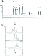 Graphical abstract: 2D LC as a tool for standardization of Foenugraeci semen extracts containing compounds with anti-Helicobacter pylori activity