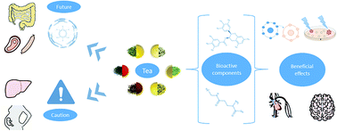 Graphical abstract: Green and white teas as health-promoting foods