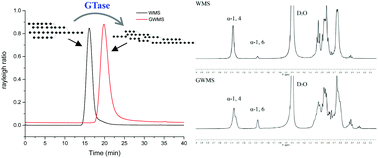 Graphical abstract: Development of a novel starch-based dietary fiber using glucanotransferase