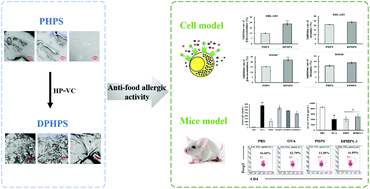 Graphical abstract: Degraded Porphyra haitanensis sulfated polysaccharide relieves ovalbumin-induced food allergic response by restoring the balance of T helper cell differentiation