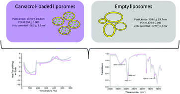 Graphical abstract: Carvacrol-loaded liposome suspension: optimization, characterization and incorporation into poly(vinyl alcohol) films