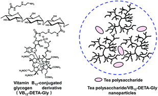 Graphical abstract: Nanoparticles composed of the tea polysaccharide-complexed cationic vitamin B12-conjugated glycogen derivative