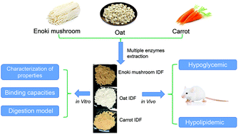 Graphical abstract: Characterization of insoluble dietary fiber from three food sources and their potential hypoglycemic and hypolipidemic effects
