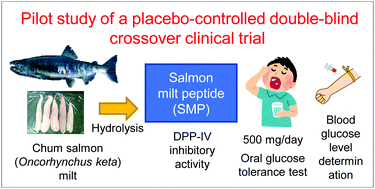 Graphical abstract: Effect of one-week administration of dipeptidyl peptidase-IV inhibitory peptides from chum salmon milt on postprandial blood glucose level: a randomised, placebo-controlled, double-blind, crossover, pilot clinical trial