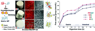 Graphical abstract: Physicochemical properties and digestive kinetics of whey protein gels filled with potato and whey protein mixture emulsified oil droplets: effect of protein ratios