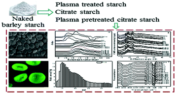 Graphical abstract: Understanding the multi-scale structure, physicochemical properties and in vitro digestibility of citrate naked barley starch induced by non-thermal plasma