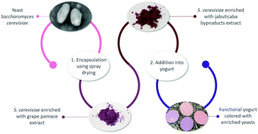 Graphical abstract: Development of natural pigments microencapsulated in waste yeast Saccharomyces cerevisiae using spray drying technology and their application in yogurt