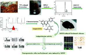 Graphical abstract: The neuroprotective effects of isoquercitrin purified from apple pomace by high-speed countercurrent chromatography in the MPTP acute mouse model of Parkinson's disease