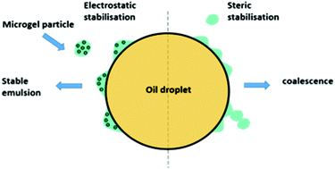 Graphical abstract: Emulsions stabilised with pectin-based microgels: investigations into the effect of pH and ionic strength on emulsion stability