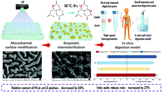 Graphical abstract: Nutritional targeting modification of silkworm pupae oil catalyzed by a smart hydrogel immobilized lipase