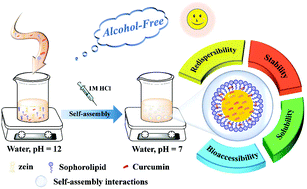 Graphical abstract: One-step self-assembly of curcumin-loaded zein/sophorolipid nanoparticles: physicochemical stability, redispersibility, solubility and bioaccessibility