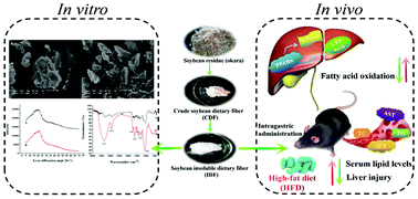 Graphical abstract: Preparation and characterization of soybean insoluble dietary fiber and its prebiotic effect on dyslipidemia and hepatic steatosis in high fat-fed C57BL/6J mice