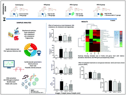 Graphical abstract: Live and ultrasound-inactivated Lacticaseibacillus casei modulate the intestinal microbiota and improve biochemical and cardiovascular parameters in male rats fed a high-fat diet