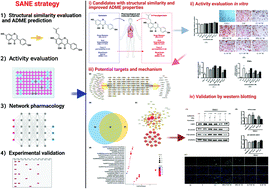 Graphical abstract: A novel strategy for exploring food originated anti-adipogenesis substances and mechanism by structural similarity evaluation, ADME prediction, network pharmacology and experimental validation