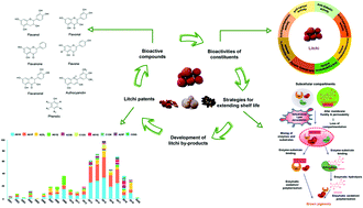 Graphical abstract: Litchi (Litchi chinensis Sonn.): a comprehensive review of phytochemistry, medicinal properties, and product development
