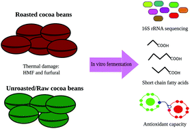 Graphical abstract: Effect of roasting conditions on cocoa bioactivity and gut microbiota modulation