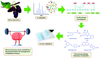 Graphical abstract: Anti-Alzheimer chemical constituents of Morus macroura Miq.: chemical profiling, in silico and in vitro investigations