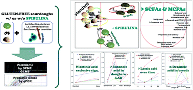 Graphical abstract: Effect of formulations and fermentation processes on volatile organic compounds and prebiotic potential of gluten-free bread fortified by spirulina (Arthrospira platensis)