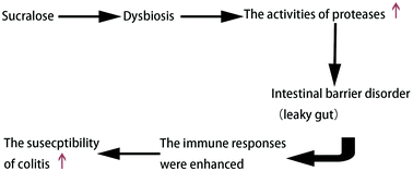 Graphical abstract: Sucralose enhances the susceptibility to dextran sulfate sodium (DSS) induced colitis in mice with changes in gut microbiota