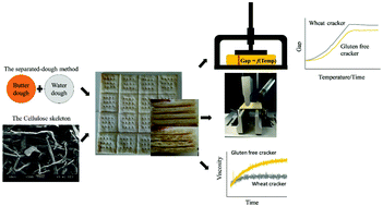 Graphical abstract: Development of a separated-dough method and flour/starch replacement in gluten free crackers by cellulose and fibrillated cellulose