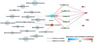 Graphical abstract: Lactiplantibacillus plantarum HNU082 inhibited the growth of Fusobacterium nucleatum and alleviated the inflammatory response introduced by F. nucleatum invasion