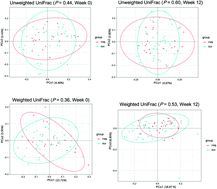 Graphical abstract: The effects of fermented rye products on gut microbiota and their association with metabolic factors in Chinese adults – an explorative study