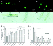 Graphical abstract: The dopaminergic neuroprotective effects of different phytosterols identified in rice bran and rice bran oil