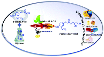 Graphical abstract: Enhancement of the hydrophilic feruloyl glycerol synthesis using A-35 as a catalyst and its functional characteristics