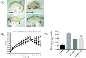 Graphical abstract: Effect of Lactobacillus fermentum TKSN041 on improving streptozotocin-induced type 2 diabetes in rats