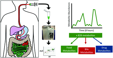 Graphical abstract: Metabolomics analysis of time-series human small intestine lumen samples collected in vivo