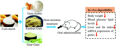 Graphical abstract: Effect of starch-hydrocolloid complexes with heat-moisture treatment on in vivo digestibility