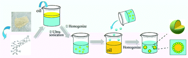 Graphical abstract: A hierarchical emulsion system stabilized by soyasaponin emulsion droplets